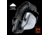 Champion Vanquish Passive Ear Muffs, Grey, 41000