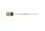 Clam Jason Mitchell Dead Meat Rod