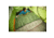 Coleman Big Game Sleeping Bag, 0F, Scotts Pine, CM1010410016-19