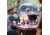 Coleman Brew Bottle, 20 oz, Black, 20, CMSSBREW20-1