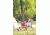 Coleman Converta Cot, Tan, 2000020282