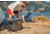 Coleman Convoy 65-Quart Wheeled Hard Cooler, Dark Storm/Black, CM1010810001-39