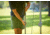 Coleman Oasis Onepeak 13x13ft Canopy, Moss, CM101031001-5