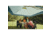 Coleman Oasis Onepeak 13x13ft Canopy, Moss, CM101031001-5
