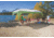 Coleman Straight Instant Sun Shelter, White / Green, 16 ft x 8 ft 2000004412
