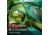 Coleman Sundome Tent 9 X 7 4 Person Spruce Green