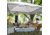 Core Equipment 13x13 Instant Canopy, Grey, 40155