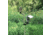 CrossFire Stealth Moutning Post Trail Camera