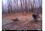 Cuddeback C2 Long Range Video Camera 20 MP Brown