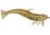 D.O.A. Shrimp Lures
