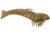 D.O.A. Shrimp Lures