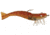 D.O.A. Shrimp Lures