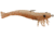 D.O.A. Shrimp Lures