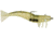 D.O.A. Shrimp Lures