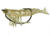 D.O.A. Shrimp Lures