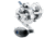 Daiwa Saltiga Star Drag Fishing Reel