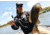 Daiwa Tatula Elite Baitcast Fishing Reel