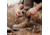Danner Cedar River Moc Toe Hunter 8in Shoes - Mens, Regular, Timberwolf, 9, 14304-9D