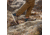 Danner Trail 2650 Campo 3in Height Shoes - Mens, Brick/Tan/Blue, 10, Width D, 68940-10-D