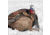 Dave Smith Decoys Feeding Hen Decoy