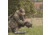 Dave Smith Decoys Feeding Hen Decoy