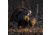 Dave Smith Decoys Feeding Hen Decoy