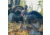 Dave Smith Decoys Mating Motion Pair Decoy