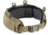 Defcon 5 MOLLE Belt, OD Green, D5-MB02 OD