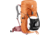 Deuter ACT Trail 22 SL Daypack - Womens, Chestnut/Maron, 22 L, 344022395090