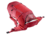 Deuter Futura 32 Hiking Backpack