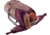 Deuter Futura 30 SL Backpack, Ashrose/Cassis, 340072155990
