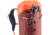 Deuter Guide 24 Backpack, Redwood/Papaya, 336112359120