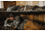 Disc-O-Bed Cam-O-Bunk with 2 Side Organizers, Mossy Oak, Extra Large, 30702BO