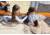 Disc-O-Bed Duvalay with Luxury Memory Foam Sleeping Bag &amp; Duvet, Kids, Cappuccino, 50054