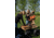Do All Outdoors 4x4 Flyway Clay Thrower w/ Wobbler Kit