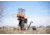 Do All Outdoors FlyWay 180X Launcher, Black, 180 Clays, FW180X