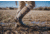 Dryshod Overland Hi Boot - Mens, Khaki/Timber, 10, OVR-MH-KH-010
