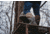 Dryshod Overland Hi Boot - Mens, Khaki/Timber, 10, OVR-MH-KH-010