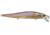 Duckett Fishing Reveal Forward Facing Sonar Jerkbait, 4.5in, 3/4oz, American Shad, DBRJ3/4 AS