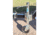 Dutton-Lainson Dutton Lainson Swivel Tongue Jack w/ 8 Slotted Wheel Model 6850 1500 Lb., 22800