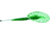 Eagle Claw Landing Net
