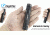 Eagtac D25LC2 Clicky XML2 U4 LED Flashlight, Black, Medium, D25LC2RCXML2