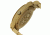 Earth Wood Bighorn Bracelet Watch, Khaki/Tan, One Size, ETHEW3501