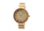Earth EW2801 Branch Watch, 42mm, Khaki/Tan Strap, Khaki/Tan Dial ETHEW2801