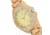 Earth Centurion Watch, Gold/Khaki/Tan, One Size, ETHEW6001