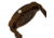Earth Cherokee Watch, Red Wooden Case ETHEW3403