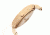 Earth Ew2001 Nodal Ladies Watch, Khaki/tan ETHEW2001