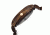 Earth Ew2002 Nodal Ladies Watch, Dark Brown ETHEW2002