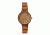 Earth Ew2004 Nodal Ladies Watch, Olive ETHEW2004