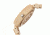 Earth Ew2201 Stomates Watch, Khaki/tan ETHEW2201